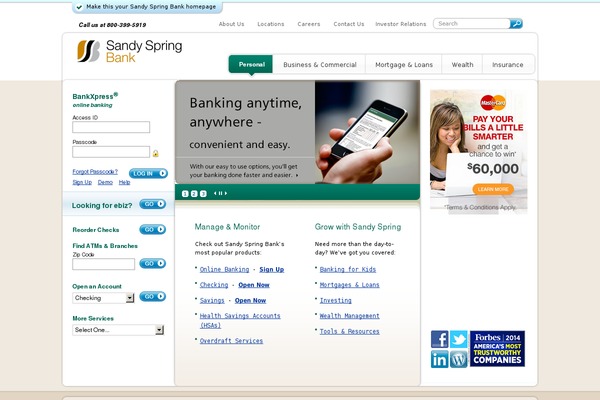 ssb theme websites examples
