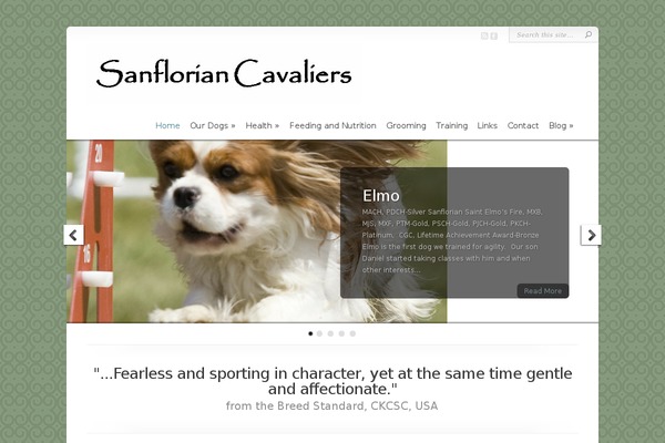 Chameleon theme site design template sample