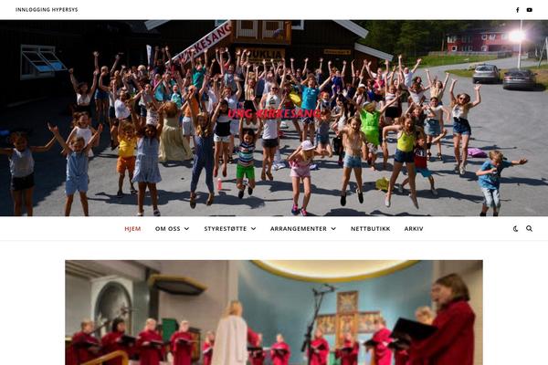 Ashe theme site design template sample