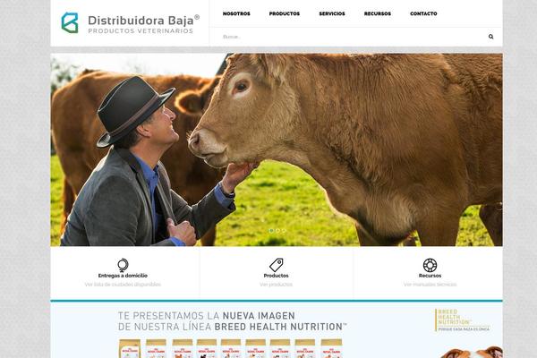 Pharmacy theme site design template sample
