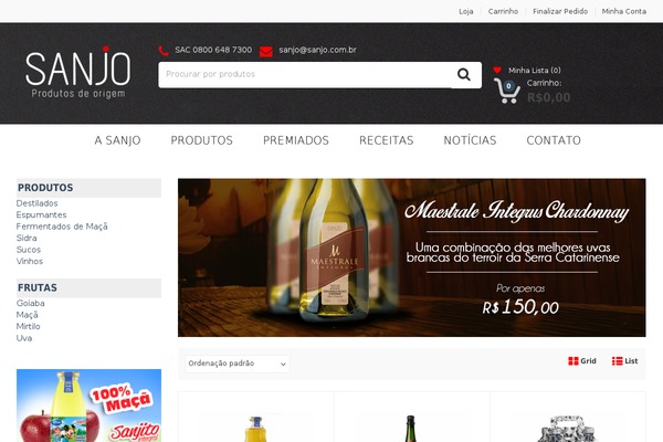 MediaCenter theme site design template sample
