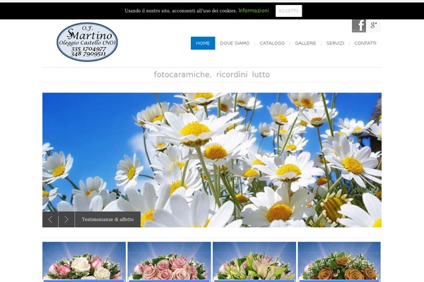 Site using Brankic Social Media Widget plugin