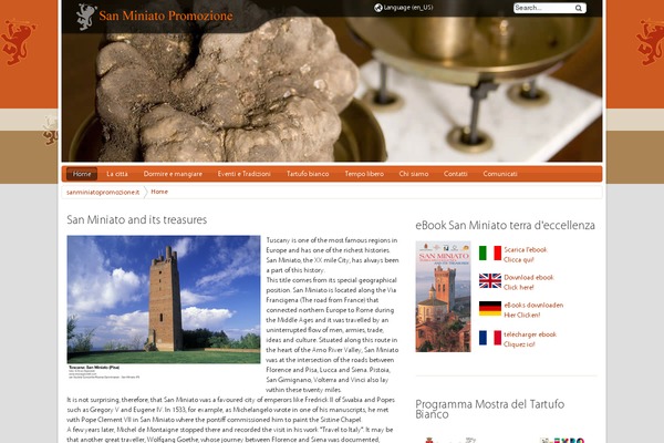 Site using MailChimp for WordPress plugin