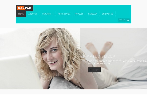 sanpad-it-solutions.com site used Flice-wp