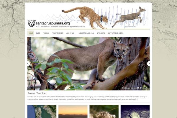 Portfolio theme site design template sample