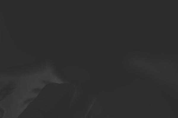 Tattoopro theme site design template sample