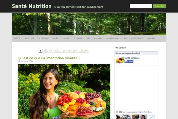 Site using Ad-inserter-pro plugin