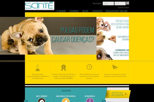 Santé theme site design template sample