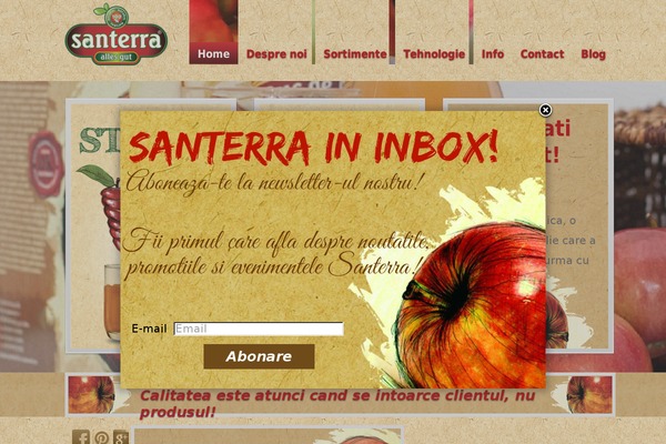 Delicious theme site design template sample
