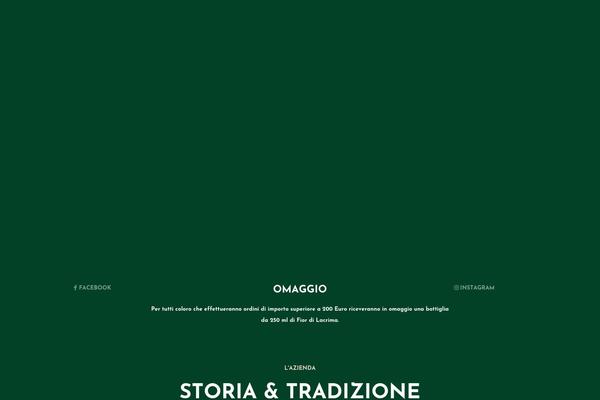 Site using GTranslate - Google Translate plugin