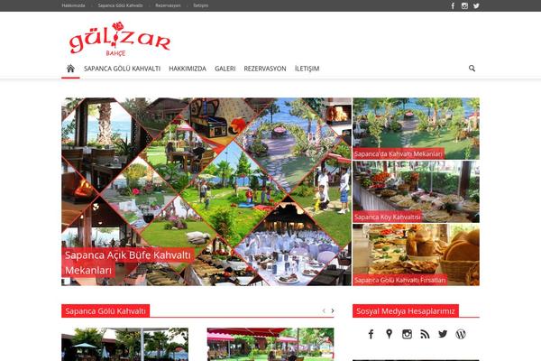 rbrdigital theme websites examples