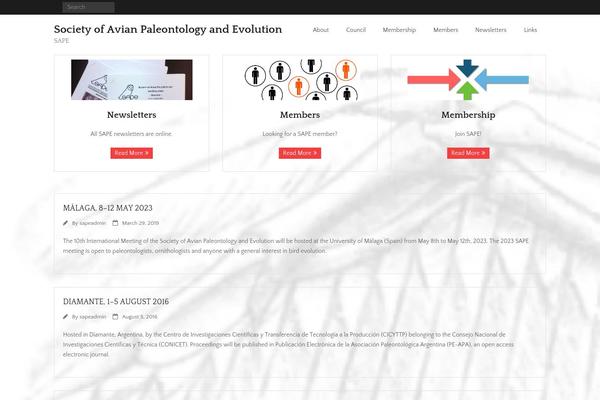 Minamaze theme site design template sample