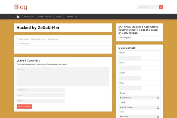 SongWriter theme site design template sample
