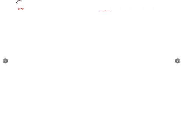 NUVO theme site design template sample