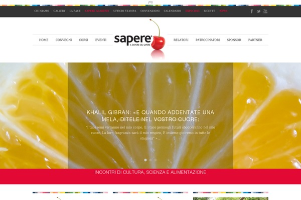 Adapt theme site design template sample