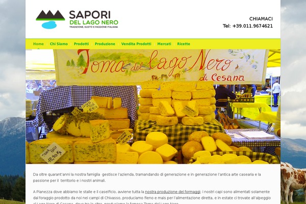 Pinpoint theme site design template sample