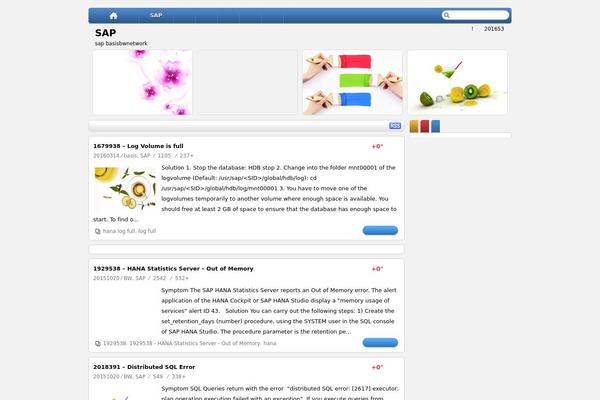 sapwalker.net site used Hotnewspro1