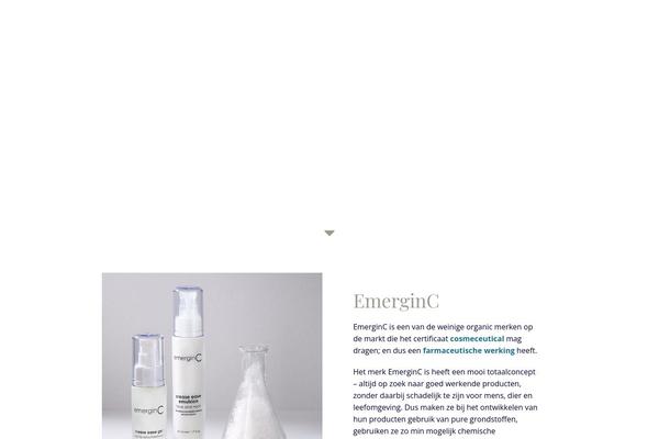 Site using WP Rocket plugin