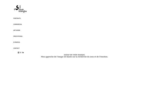 Site using Wp-copy-protect-with-color-design plugin