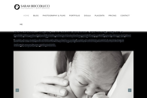 wynn_child theme websites examples