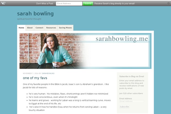 Misty Lake theme site design template sample