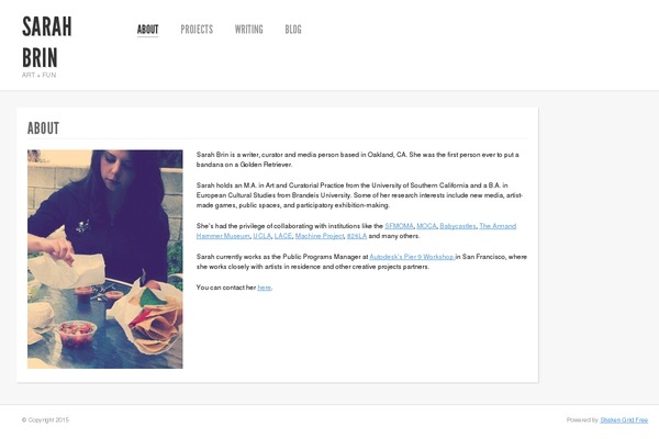 Shaken Grid Lite theme site design template sample