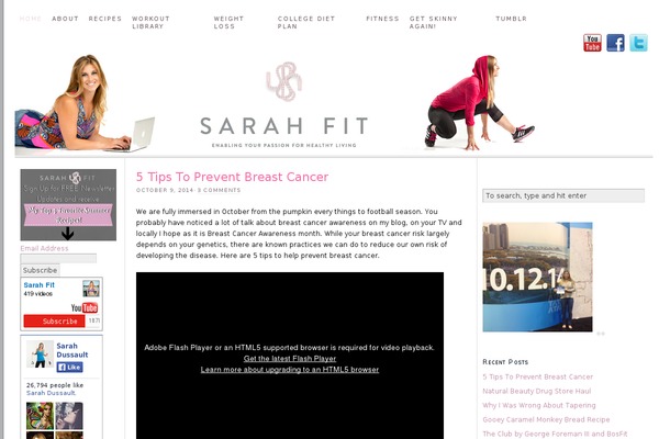 Site using WP Tweet Button plugin