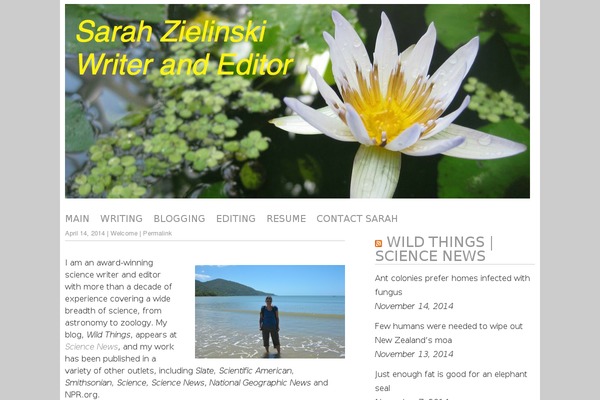 Ultra theme site design template sample