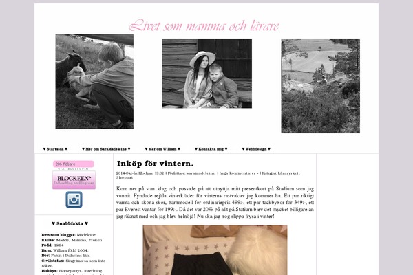 saramadeleine.se site used Pink_wedding_and_bride_eve068