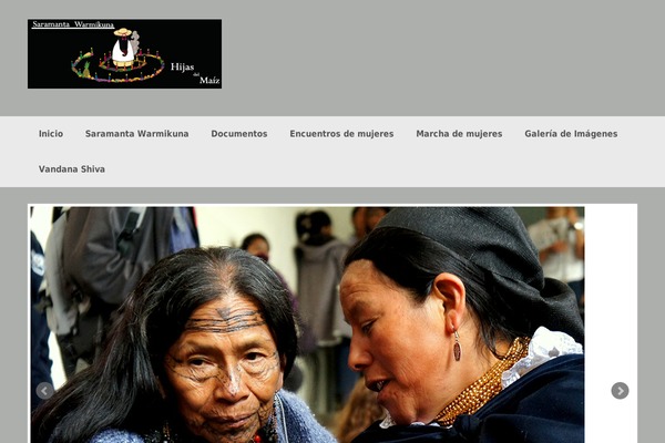 Coller theme site design template sample