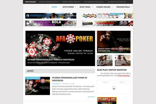 Point theme site design template sample