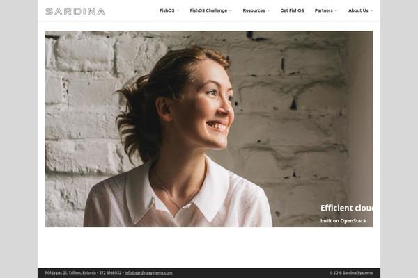 Everything theme site design template sample