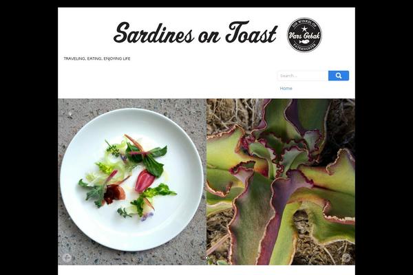 SKT Biz theme site design template sample