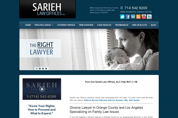 sariehlaw theme websites examples