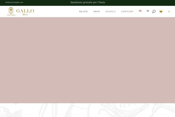 Biagiotti theme site design template sample