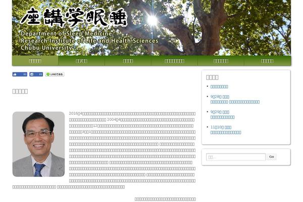 Site using WP Social Bookmarking Light plugin