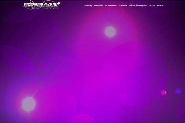 Site using Wp-seopress plugin