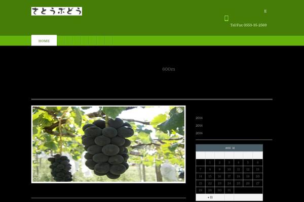 Appointway theme site design template sample