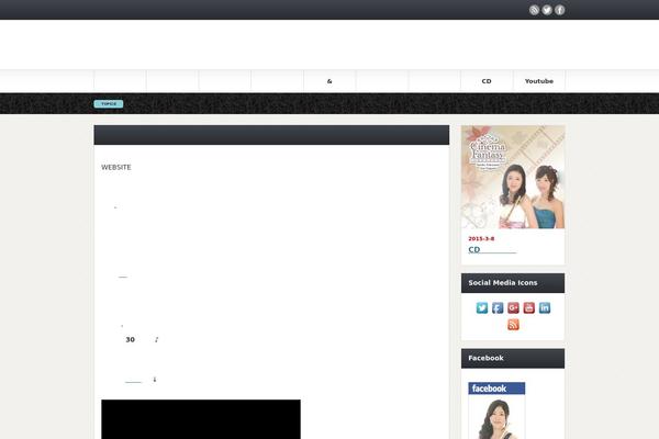 Gorgeous_tcd013 theme site design template sample