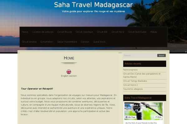 Site using Amazing-post-widget plugin