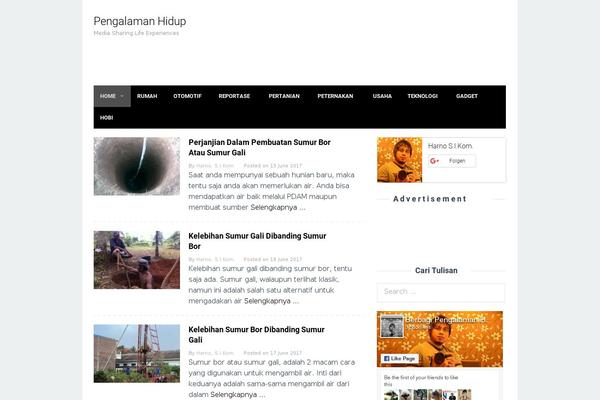 Site using WP PageNavi Style plugin
