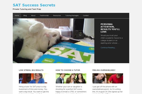 satsuccesssecrets.com site used Executive Pro Theme