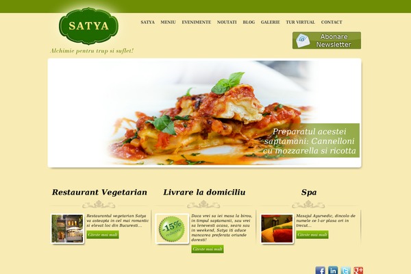 Cleartype theme site design template sample