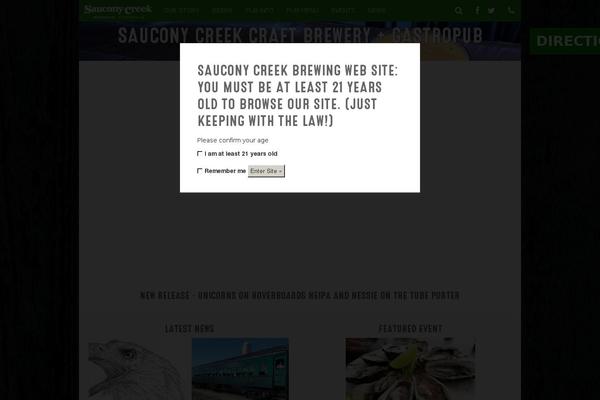 Saucony theme site design template sample
