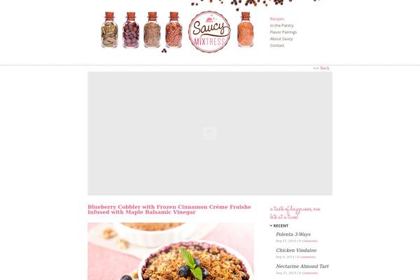 saucymixtress.com site used Shopster