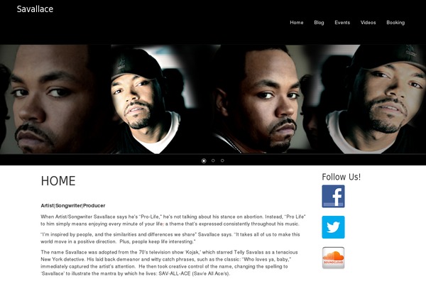 savallace.com site used Vision