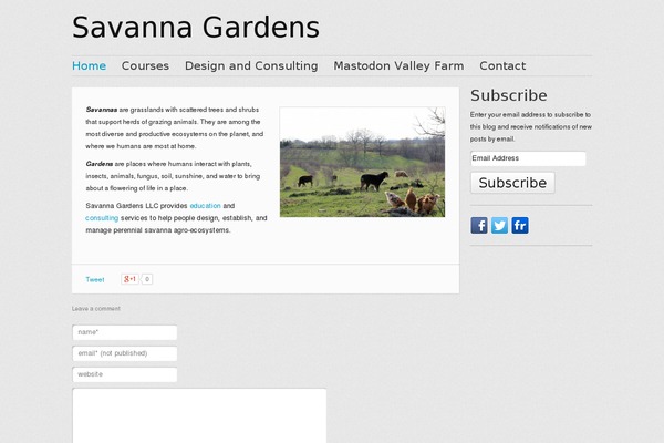 Website theme site design template sample