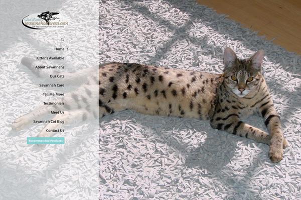 Site using Easyazon-pro-4.0.11 plugin