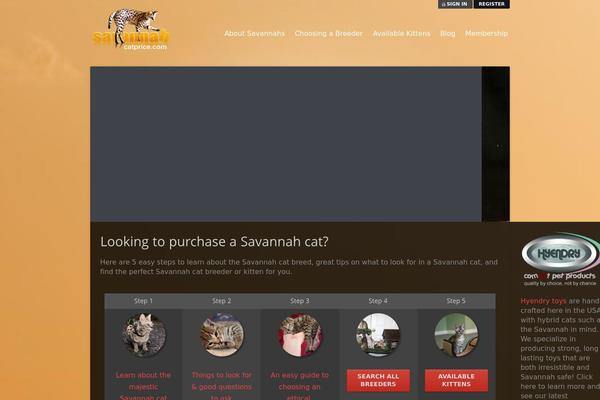 Salutation theme site design template sample