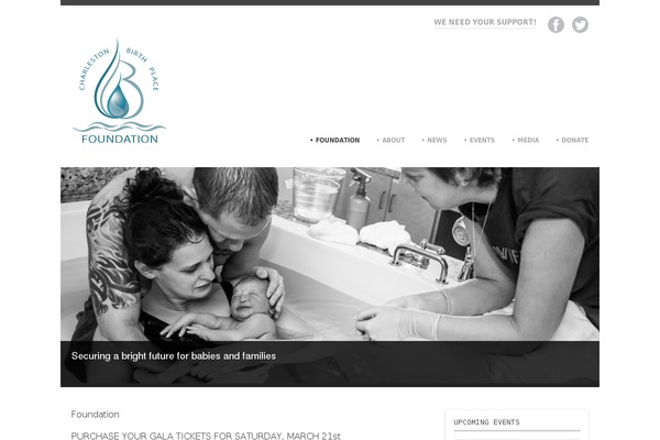 Aries theme site design template sample